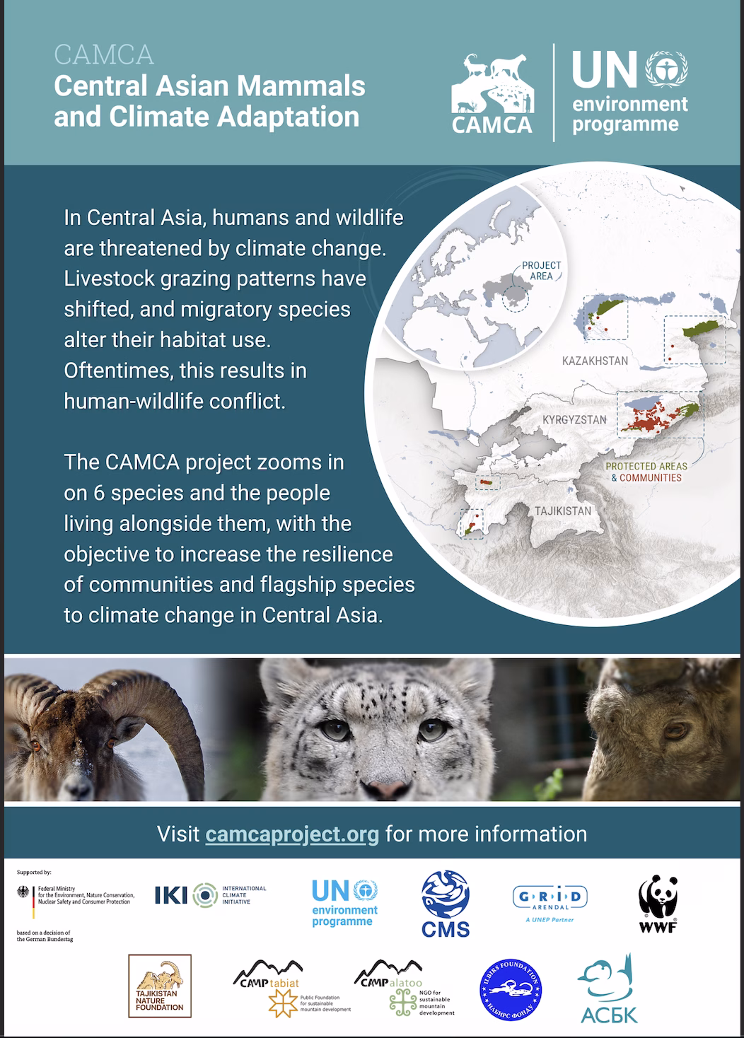 CAMCA Project Flyer English