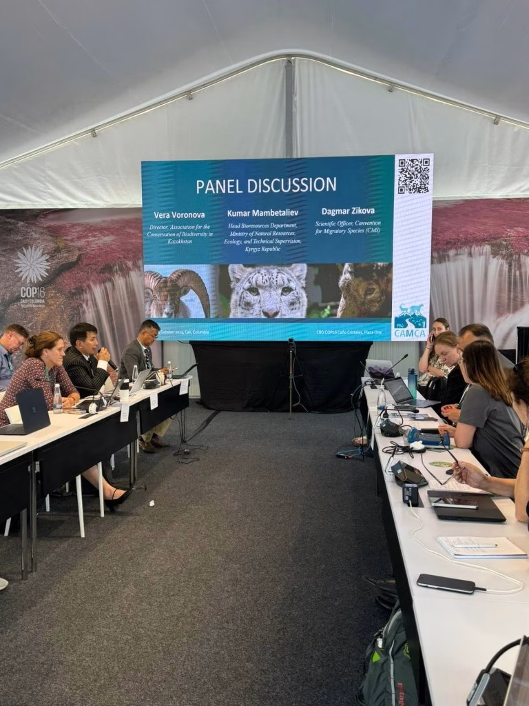 PanelDiscussion_CAMCA