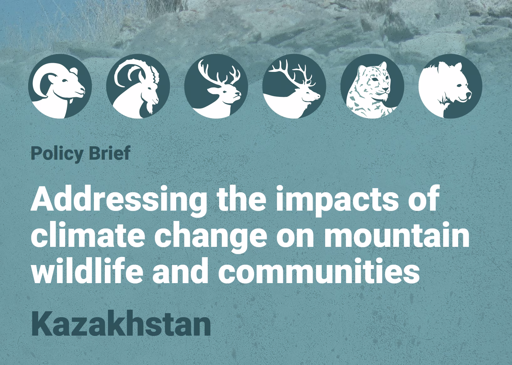 Screenshot-2025-07-02-at-18.40.59