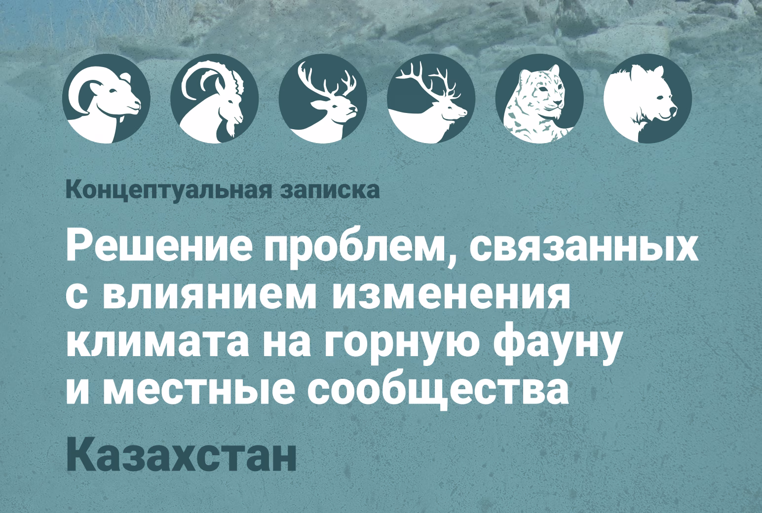 Концептуальная записка - Казахстан