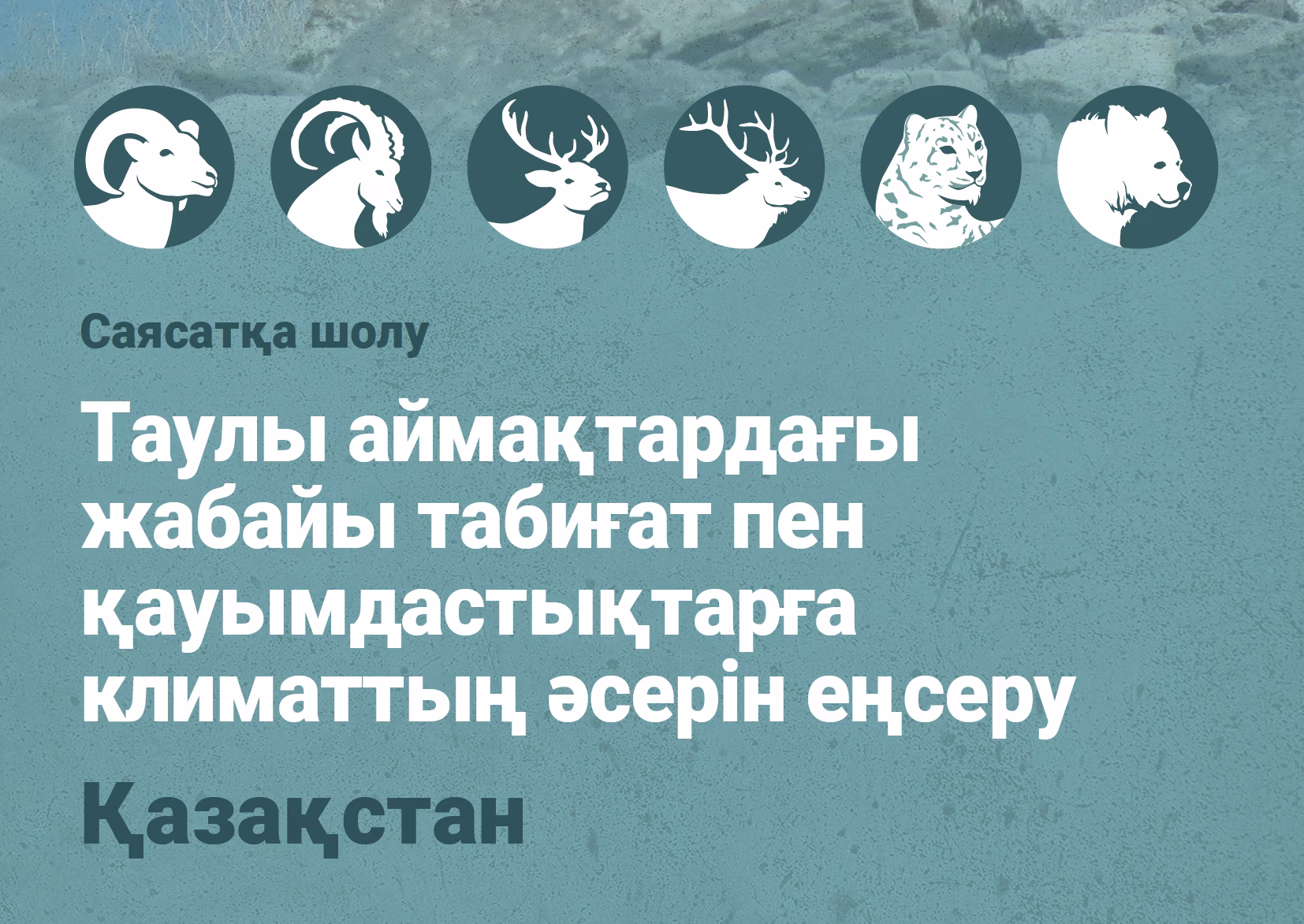 Саясатқа шолу - Қазақстан