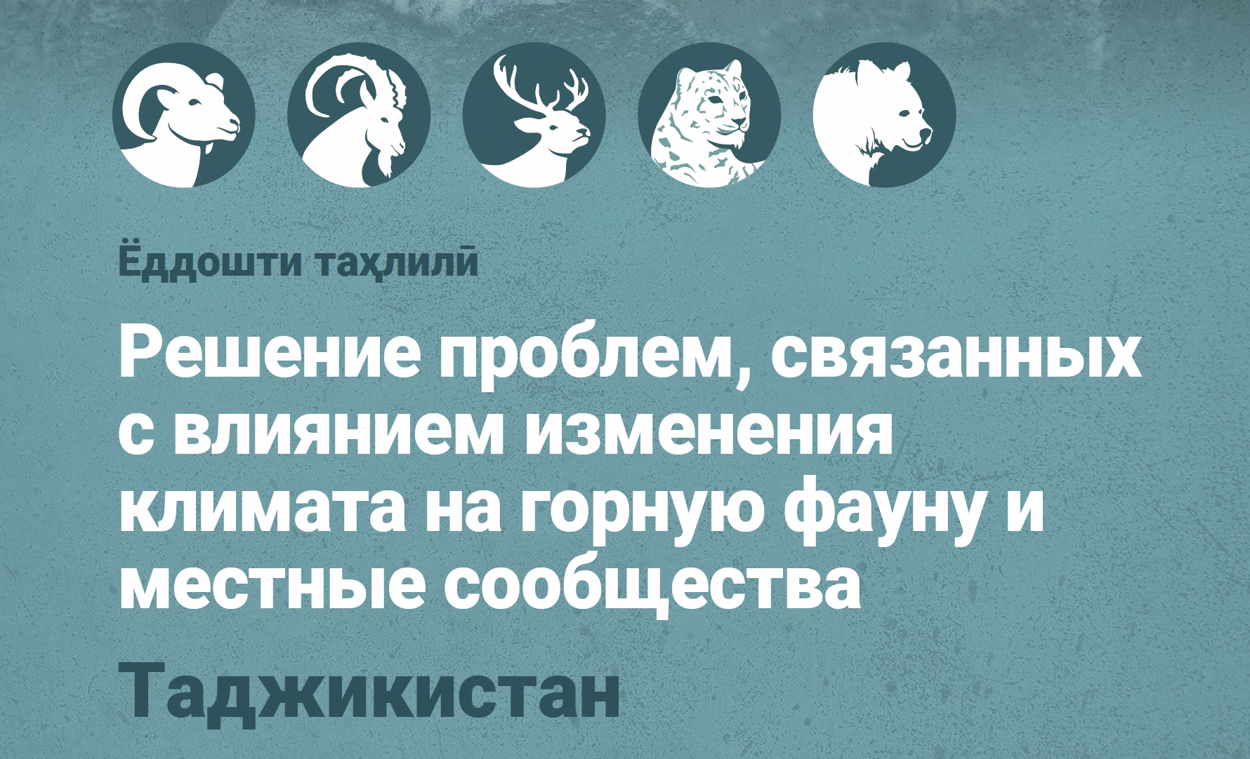 Концептуальная записка - Таджикистан