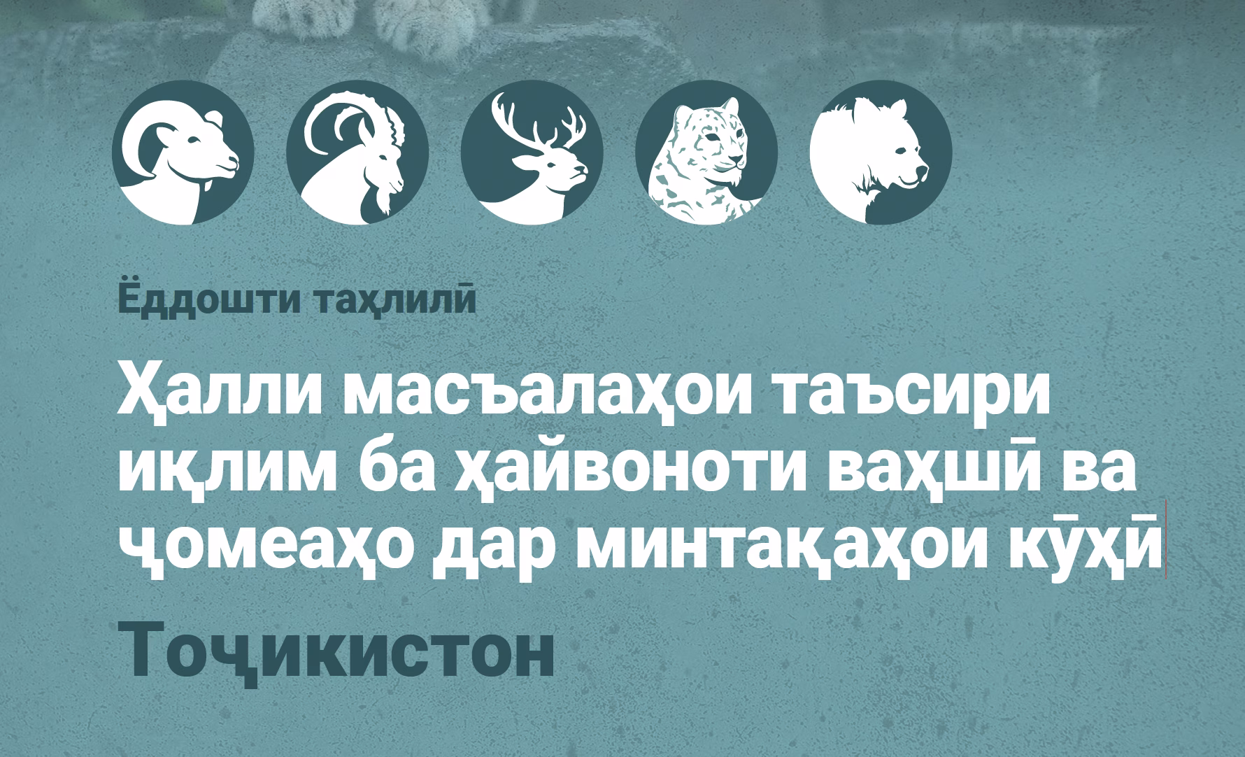 Ёддошти таҳлилӣ - Tоҷикистон
