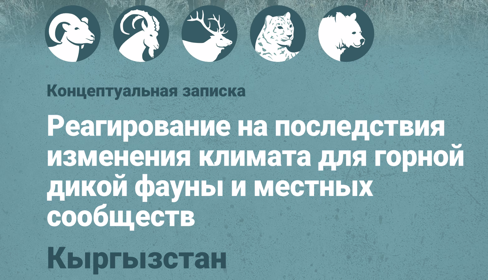 Концептуальная записка - Кыргызстан