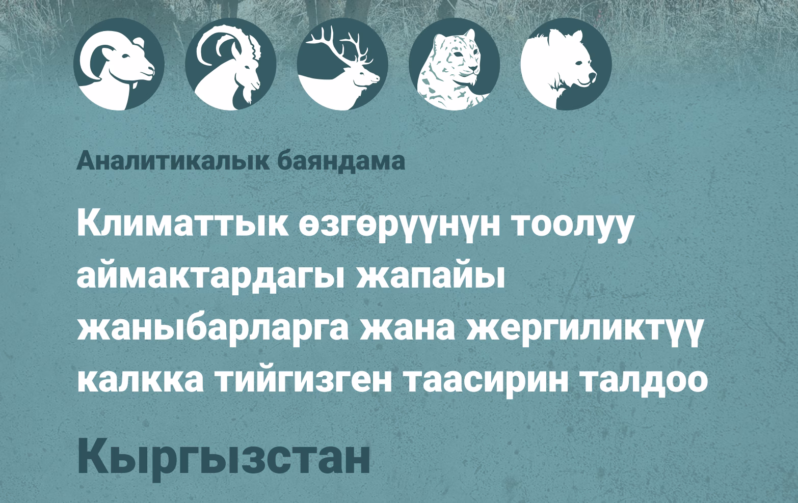 Аналитикалык баяндама - Кыргызстан