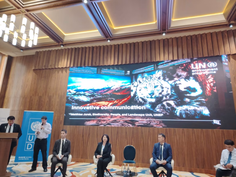 MatthiasInnovativeCommunication