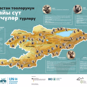 CAMCA Species Poster - Distribution in Kyrgyzstan - Russian