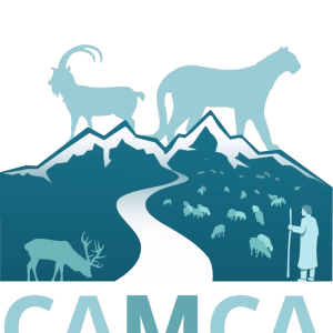 Project Logo
