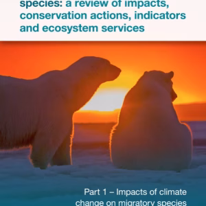 CMS Migratory Species Report: Part 1 Impacts - English