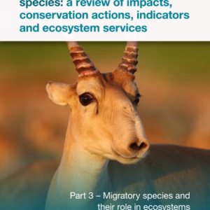 CMS Migratory Species Report: Part 3 Ecosystem Role - English