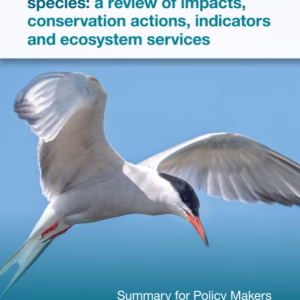 CMS Migratory Species Report: Summary for Policy Makers - English