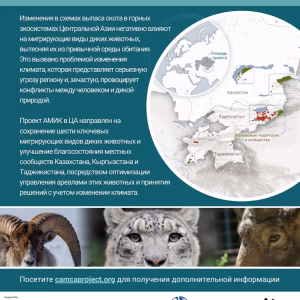 CAMCA Project Flyer - Russian