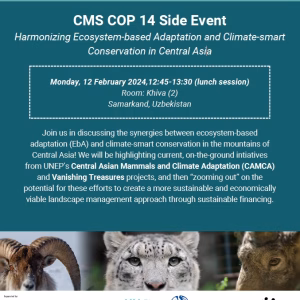 CAMCA - CMS COP 14 Side Event Flyer