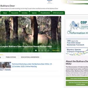 CMS: Bukhara Deer Working Group Website - English