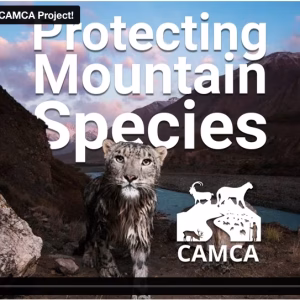 CAMCA Promotional Video - English