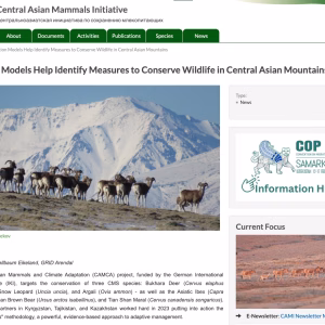 CMS: CAMI Newsletter Article featuring CAMCA - English