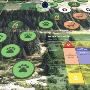 Online Snow Leopard Game