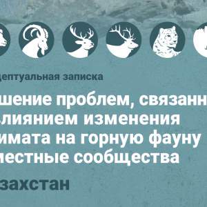 Концептуальная записка - Казахстан