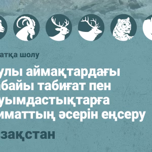 Саясатқа шолу - Қазақстан