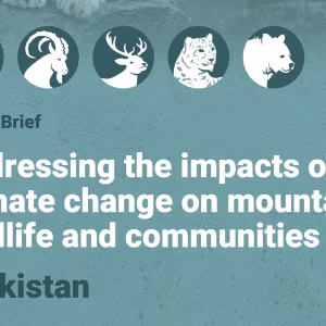Policy Brief - Tajikistan