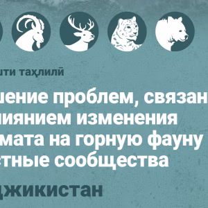 Концептуальная записка - Таджикистан