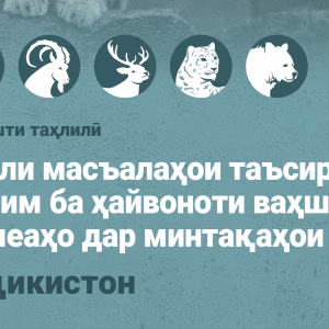 Ёддошти таҳлилӣ - Tоҷикистон