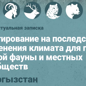 Концептуальная записка - Кыргызстан