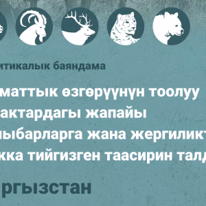 Аналитикалык баяндама - Кыргызстан
