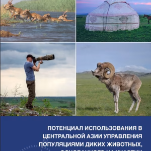 Публикация технической серии CMS № 50