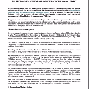 CAMCA Joint Statement of Intent 2025 (Eng/Ru)