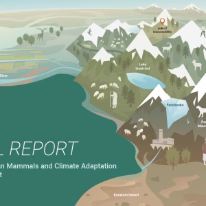 Final Project Visual Report