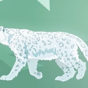 CAMCA Wrap-Up Video