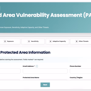 Online PAVA Tool