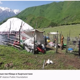 RussianWildlifePastures_PANORAMA