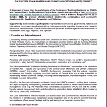 camca_joint_statement_intent_2025